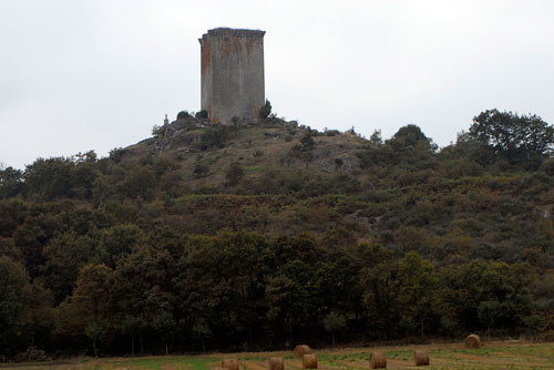 Torre de O Castro